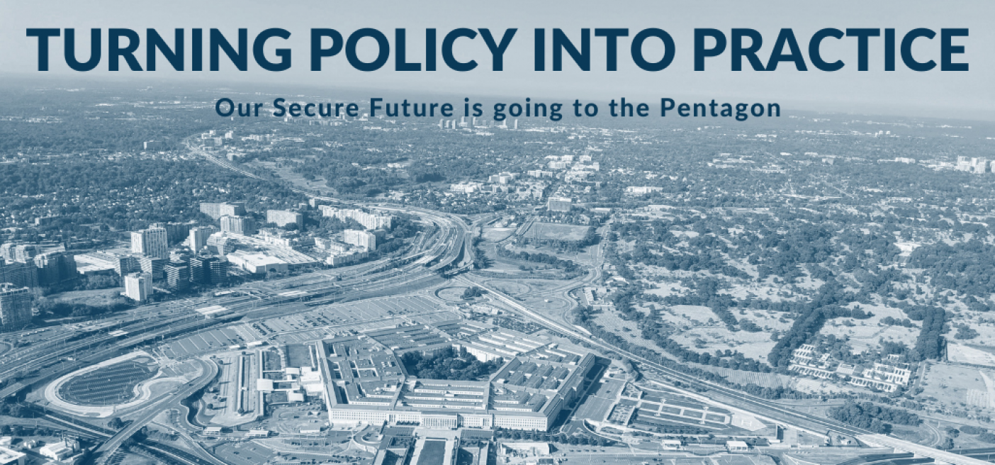 Department of Defense, Turning Policy into Practice, WPS,